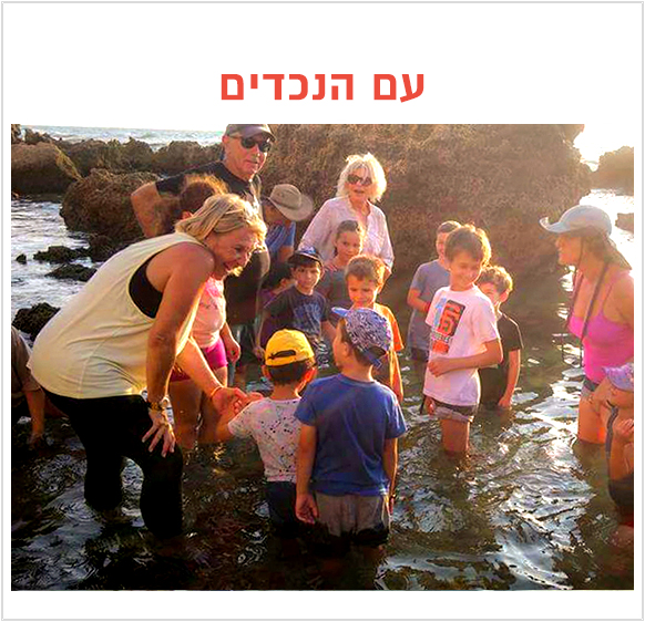 טיולים עירוניים